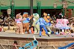 Dcim11962/DSC_1902