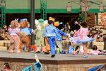 Dcim11962/DSC_1907