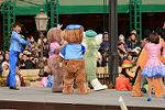 Dcim11962/DSC_1942