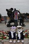Dcim11963/DSC_2144