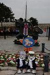 Dcim11963/DSC_2159