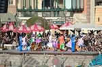 Dcim11965/DSC_8347