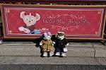 Dcim11967/DSC_7237