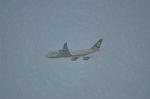 Dcim11975/DSC_8326