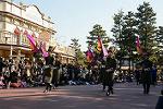 Dcim11976/DSC_2390
