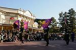 Dcim11976/DSC_2394