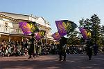 Dcim11976/DSC_2395