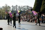 Dcim11979/DSC_2765