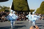 Dcim11981/DSC_2999