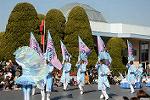 Dcim11981/DSC_3001