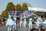 Dcim11981/DSC_3006