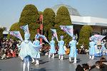 Dcim11981/DSC_3007