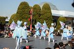 Dcim11981/DSC_3009