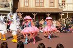 Dcim11984/DSC_3411