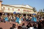 Dcim11985/DSC_3478