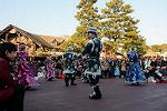 Dcim11988/DSC_3918