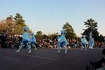 Dcim11989/DSC_4022