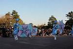 Dcim11989/DSC_4040