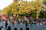 Dcim11990/DSC_4108