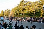 Dcim11990/DSC_4139