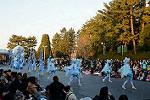 Dcim11991/DSC_4273