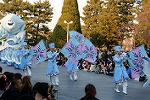 Dcim11991/DSC_4278