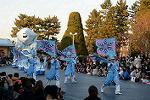 Dcim11991/DSC_4281