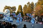 Dcim11991/DSC_4284