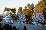 Dcim11991/DSC_4290
