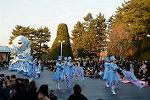 Dcim11991/DSC_4291
