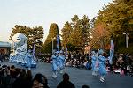 Dcim11991/DSC_4293