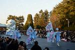 Dcim11991/DSC_4294