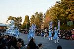Dcim11991/DSC_4297