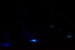 Dcim12000/DSC_5360