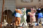 Dcim12013/DSC_6233