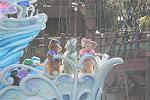 Dcim12014/DSC_6348