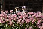 Dcim12014/DSC_6365