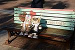 Dcim12014/DSC_6409