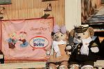 Dcim12014/DSC_6424