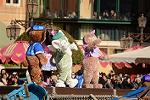 Dcim12022/DSC_7334