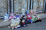 Dcim12024/DSC_7655