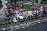 Dcim12025/DSC_7782