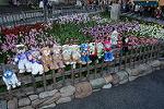 Dcim12025/DSC_7784