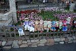 Dcim12025/DSC_7785