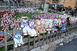 Dcim12025/DSC_7796