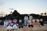 Dcim12025/DSC_7814