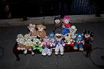 Dcim12025/DSC_7855