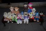 Dcim12025/DSC_7858