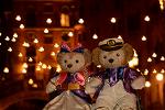 Dcim12027/DSC_8128
