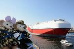 Dcim12033/DSC_8699